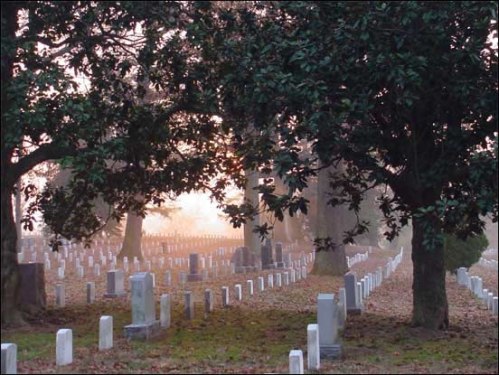 image79_jpg image79_jpg